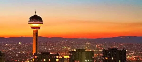 Lobos cinzentos atacam em Ancara