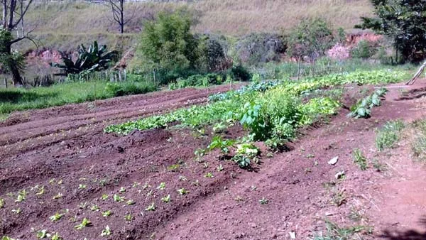 Patrulha agrícola da Prefeitura é desativada e serviço será terceirizado