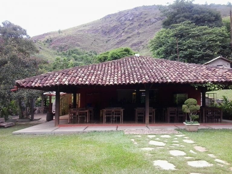 Produção de cogumelo shitake é novidade no Recanto da Serra
