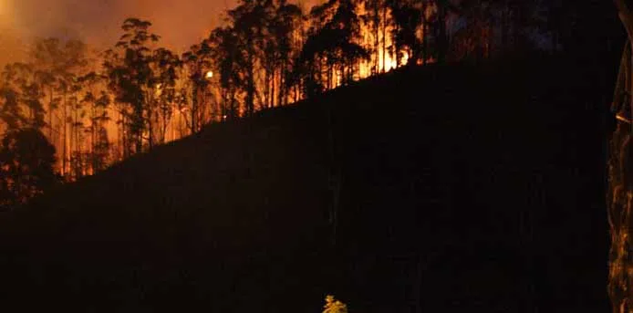 Pico do Amor está em chamas. Outras matas em Itabira também