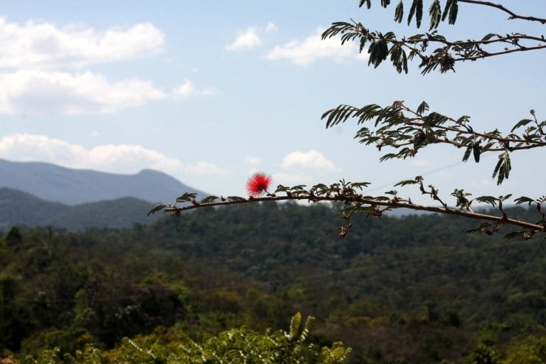 Visita ao Parque do Limoeiro é uma boa opção no feriado prolongado