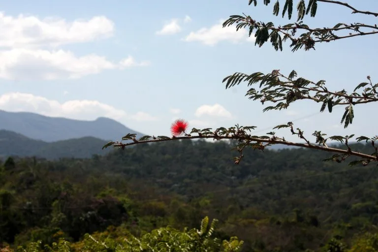 Visita ao Parque do Limoeiro é uma boa opção no feriado prolongado