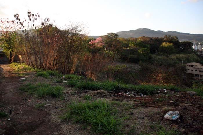 Prefeitura vai vender áreas verdes para obter recursos financeiros, diz secretário de Obras