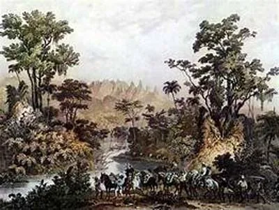 Manoel Nunes Viana em contradições