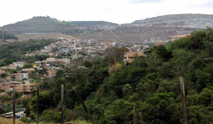Risco de retorno da febre amarela urbana cresce com aumento de casos de contaminação nas cidades
