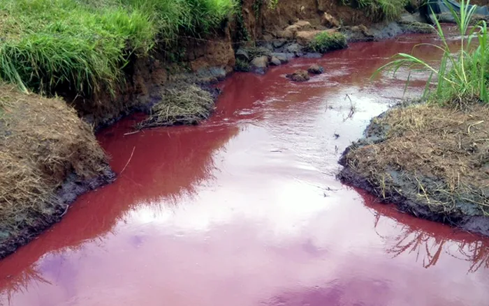 Ibama e Semad multam Anglo American pelo rompimento de mineroduto em Santo Antônio do Grama