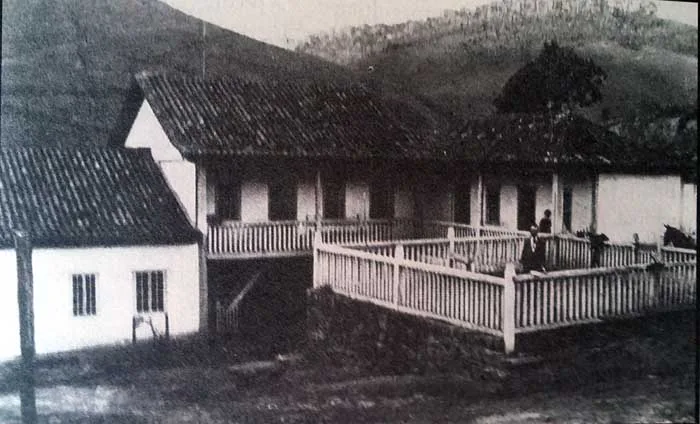 Vinhedo do Alto de Alfié – Notas e comentários