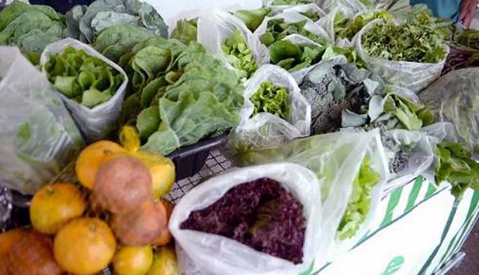 Minas Gerais tem nova lei que incentiva produção orgânica de alimentos