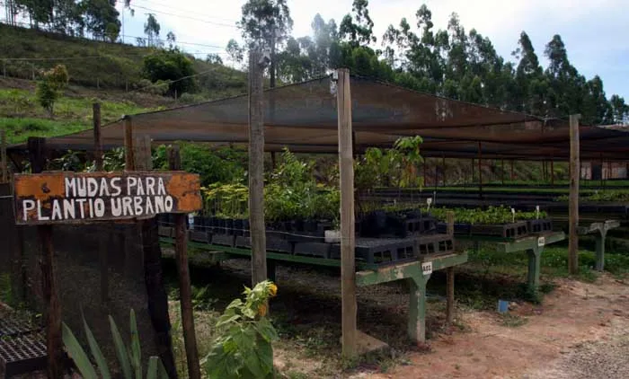 Por mais verde novo e menos poeira na cidade. Viva o Instituto Espinhaço