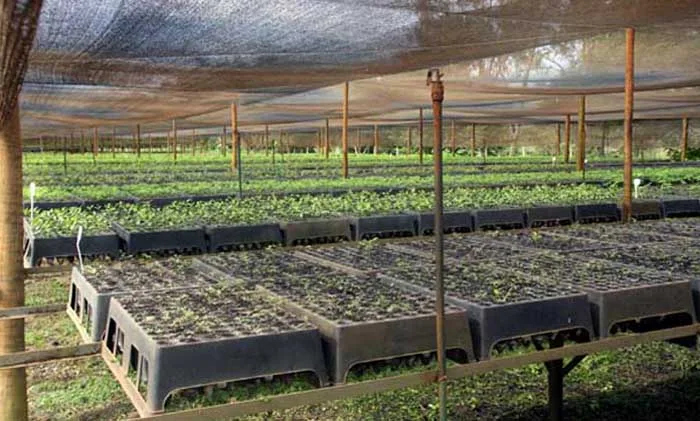 Instituto Espinhaço quer trazer para Itabira o programa Produtores de Água