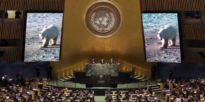 Alerta ecológico global é compromisso que nunca avança com resultados práticos