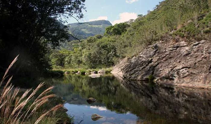 Prefeitura lança portal eletrônico do meio ambiente com informações da área