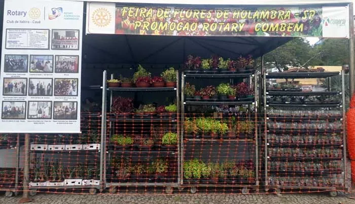 No Dia dos Namorados, dê flores de Holambra a quem você ama