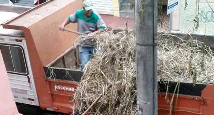 Prefeitura retira mato e entulhos do sobrado histórico de João Camilo, na rua Tiradentes