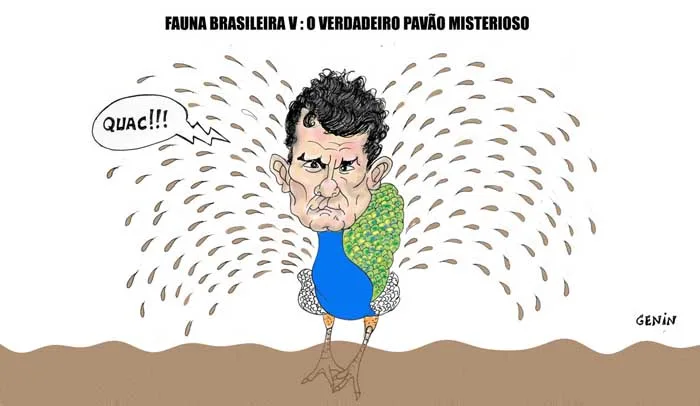 O verdadeiro Pavão Misterioso