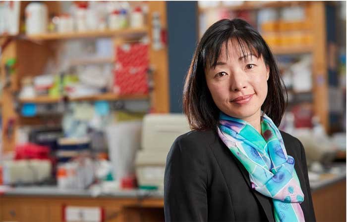 “Ainda não sabemos se a pessoa recuperada é completamente imune ao vírus”, diz a virologista Akiko Iwasaki