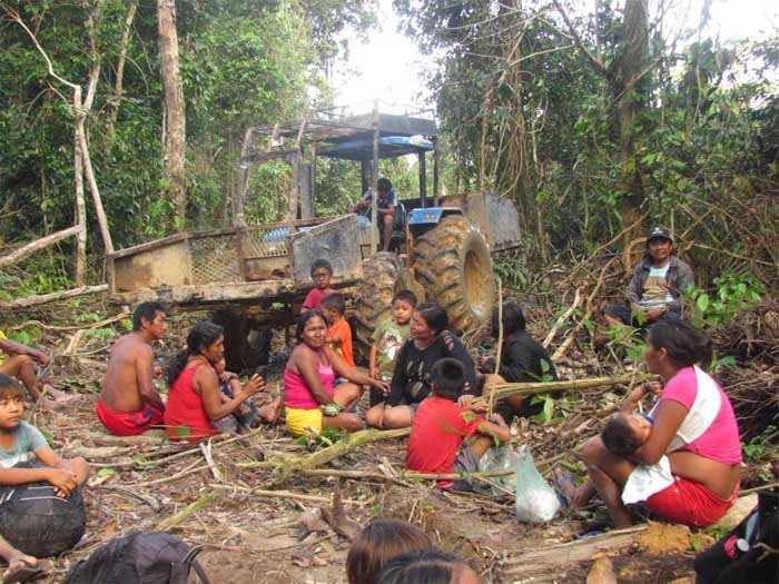 Novo PL do licenciamento ambiental incentiva o crime e a degradação