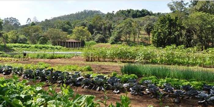 Agroecologia: o conceito de uma nova agricultura