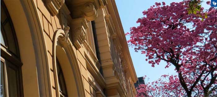 Instituto Cultural Vale lança Edital Apoia e vai destinar R$ 400 mil aos artistas de Minas Gerais de um total de R$ 1,6 mi