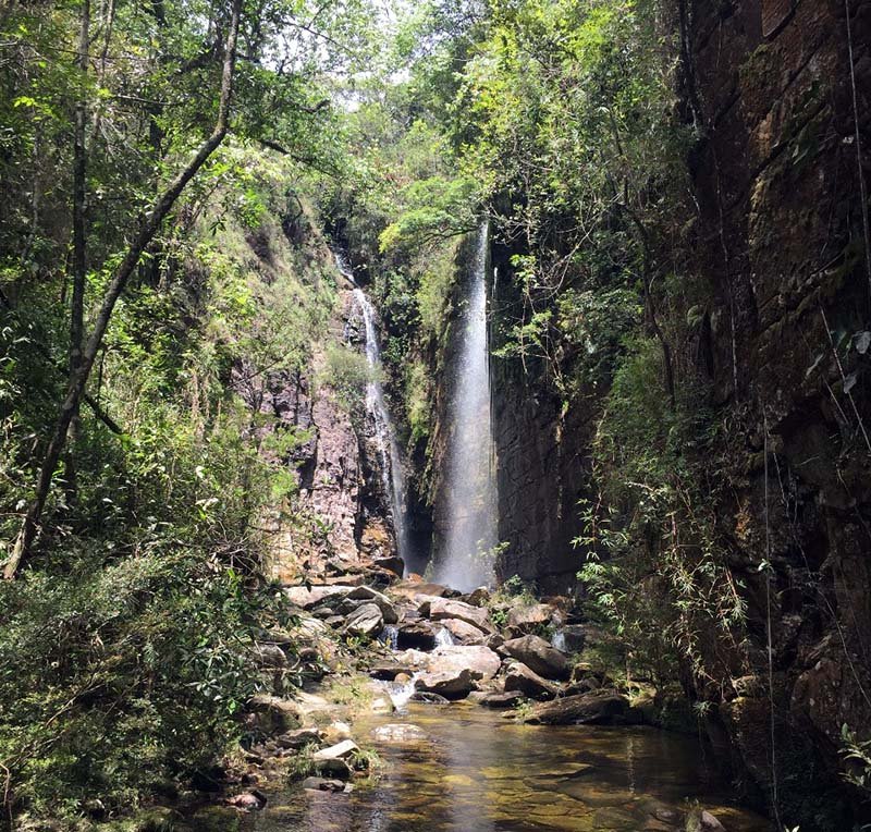 Exploração predatória do patrimônio natural e o ‘melhor’ negócio do mundo