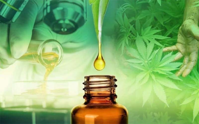 Maconha medicinal – estudos reforçam eficácia da cannabis no tratamento à Covid-19