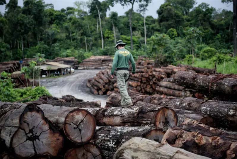 Adaptação ao clima precisa estar em todas as políticas públicas, diz nova secretária