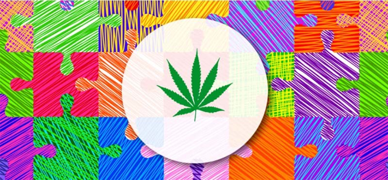 Autismo e Cannabis, um breve entendimento