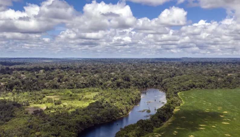 Flona do Tapajós é modelo de como manter a Amazônia em pé e com renda