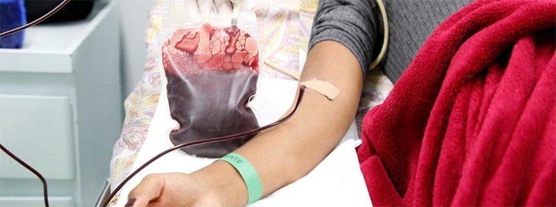 Nada substitui o sangue e a solidariedade humana