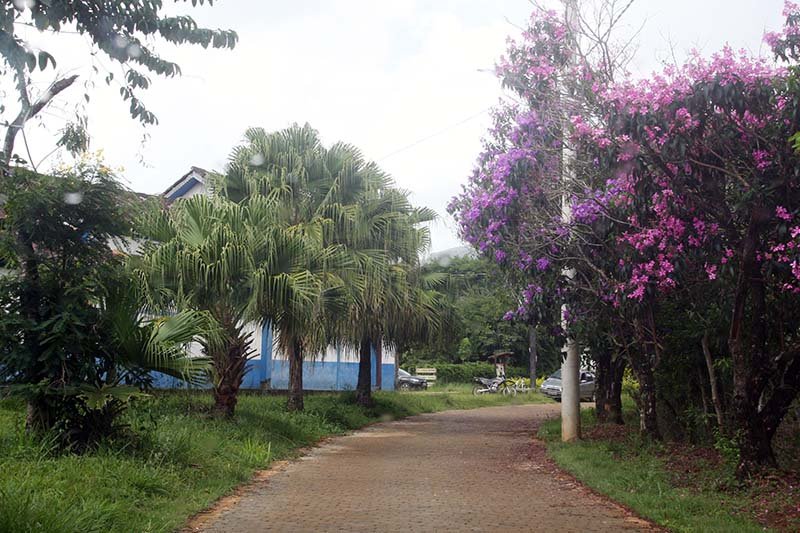 Serra dos Alves tem Festival Distrital de Inverno com musica instrumental, feiras, rodas de conversa com circuito gastronômico