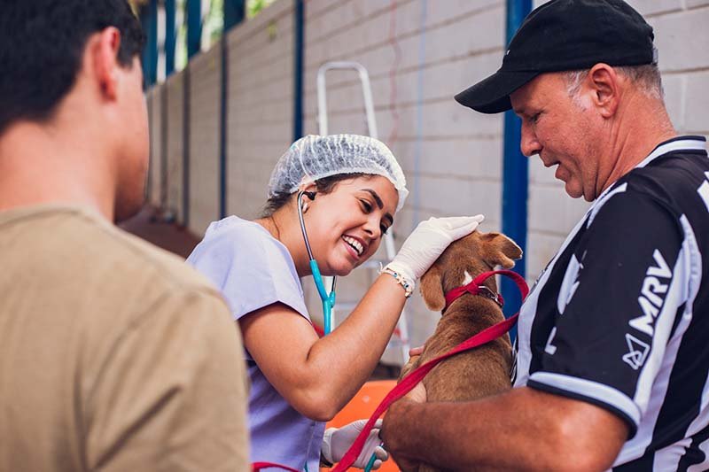 Prefeitura castra 847 cães e gatos, em Itabira e nos distritos, na primeira campanha do ano