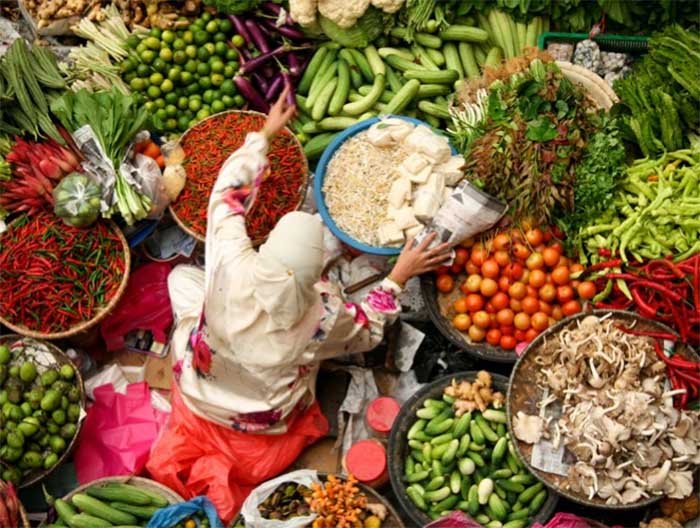 Dieta sustentável reduz morte prematura e impacto ambiental