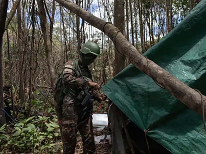 Elon Musk: Starlink resiste a mudar identificação de compradores de antenas na Amazônia, muitas usadas pelo crime organizado nos garimpos