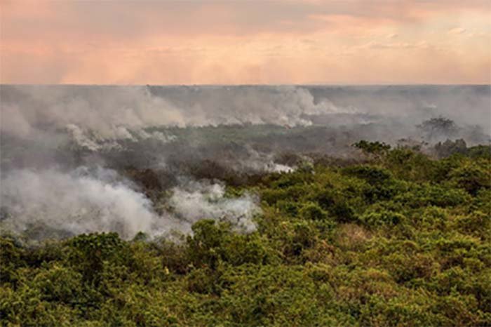 Defensoria Pública da União solicita medidas urgentes contra incêndios em terras indígenas de Mato Grosso
