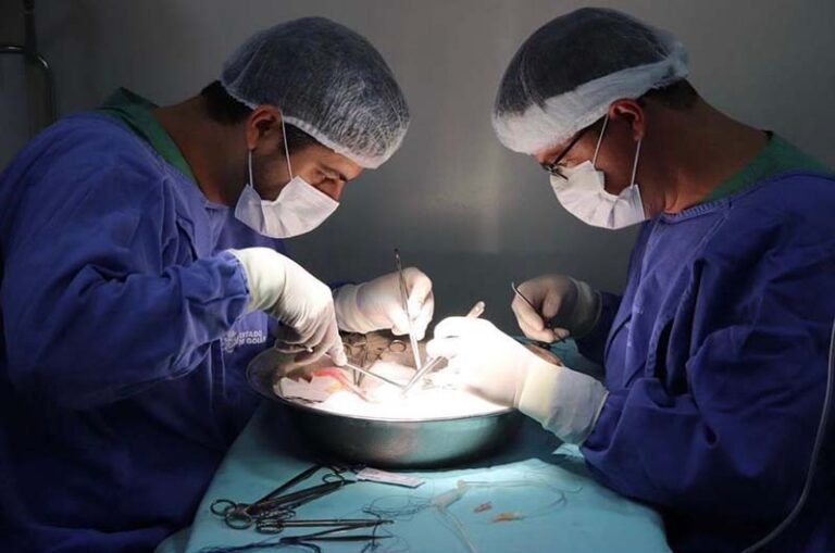 Nesta sexta-feira (27), Dia Nacional da Doação de Órgãos, 64.265 pessoas aguardam um transplante para continuar vivendo
