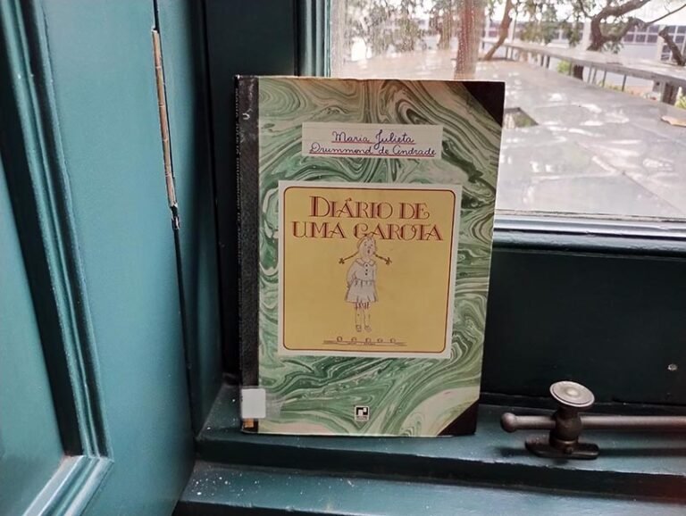 Diário de uma garota