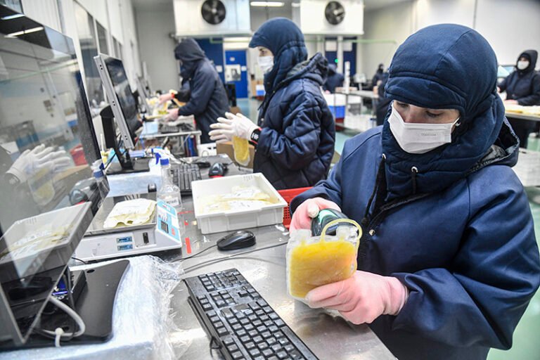 Hemobrás bate recorde histórico de coleta de plasma e reduz em 90% o descarte