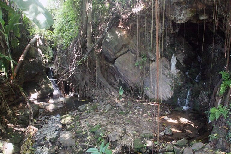 Pesquisadores da UFMG esclarecem pontos sobre o monitoramento e saneamento da Água Santa e revitalização do parque com educação ambiental