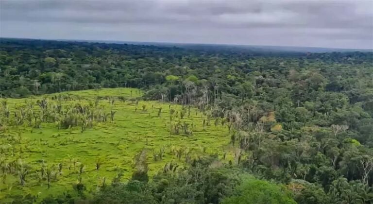 Lula sanciona lei que cria mercado regulado de carbono e o Brasil dá um passo decisivo na luta contra as mudanças climáticas