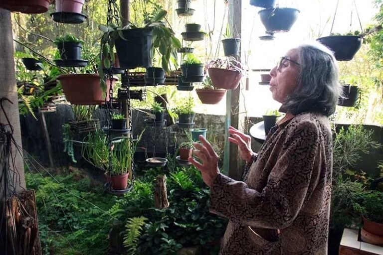 Maria Alice é homenageada na Conferência de Meio Ambiente e critica os que ainda não acreditam nas mudanças climáticas