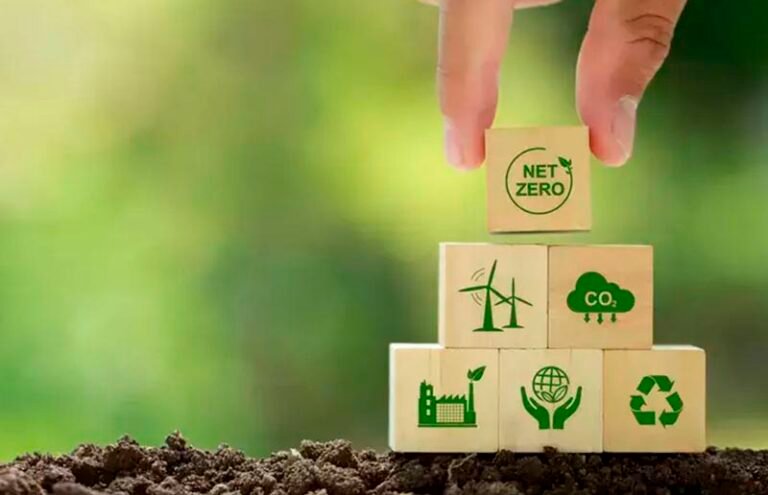 Brasil pode liderar mercado de créditos de carbono no mundo