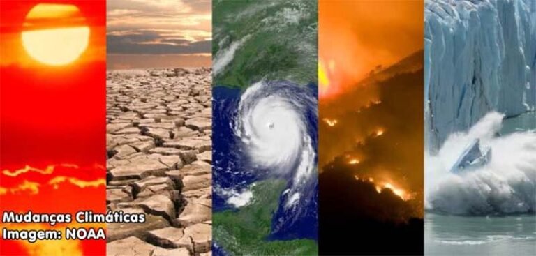 Impactos globais das mudanças climáticas em 2024
