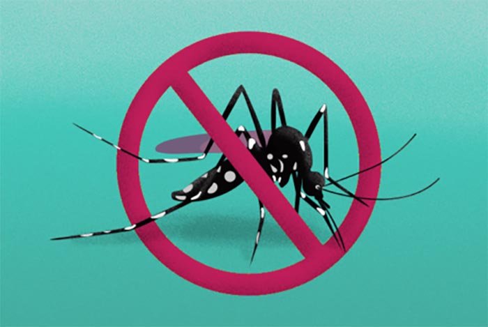 Itabira vive risco de novo surto de dengue com índice de infestação de 7,2%