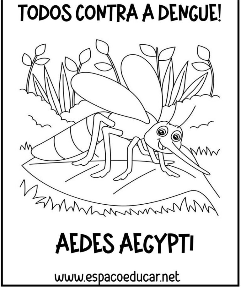 Itabira pode enfrentar novo surto de dengue se a população não fizer sua parte no combate aos focos do mosquito Aedes aegypti