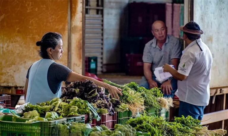 Cortes em ajuda internacional ameaçam programas de alimentação em todo o mundo