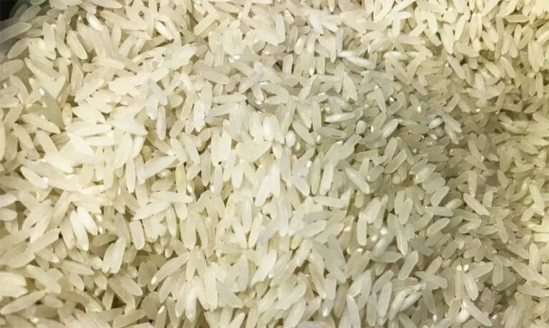 Mudanças climáticas podem tornar o arroz tóxico