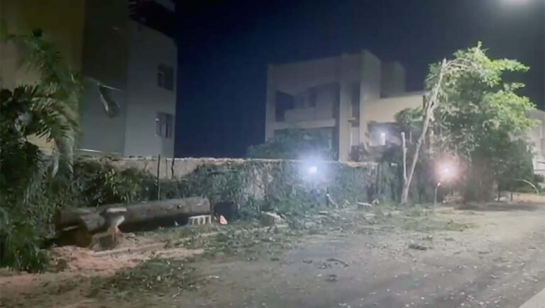 A motosserra faz mais vítimas em Itabira, uma das cidades menos arborizadas do país