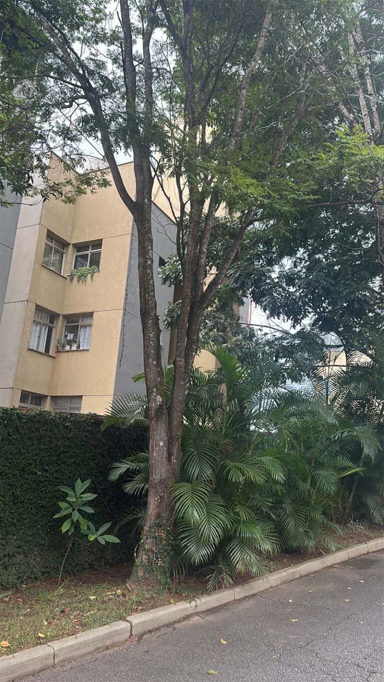 Corte de árvores nobres é autorizado pela Defesa Civil  de Itabira na Vila Técnica Areão, sob protesto de quem discorda