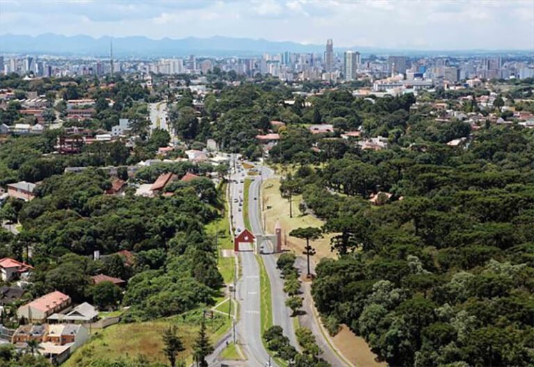 Arborização urbana é solução para ilhas de calor, enchentes e saúde pública