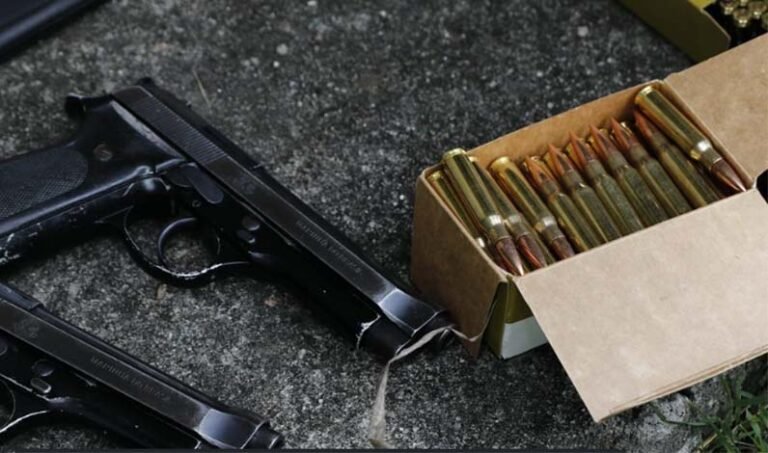Armas, drogas, carros e macacos: Comando Vermelho usa o WhatsApp para vender de tudo